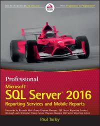 Book Cover for Professional Microsoft SQL Server 2016 Reporting Services and Mobile Reports by Paul Turley