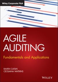 Book Cover for Agile Auditing by Raven Catlin, Danny M. Goldberg