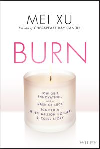 Book Cover for Burn by Mei Xu