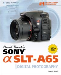 Book Cover for David Busch's Sony [Alpha] SLT-A65 by David D Busch