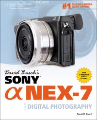 Book Cover for David Busch's Sony Alpha NEX-7 by David D Busch