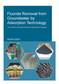 Book Cover for Fluoride Removal from Groundwater by Adsorption Technology by Abdulai Salifu