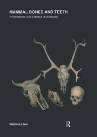 Book Cover for Mammal Bones and Teeth by Simon Hillson