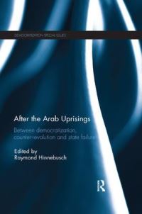 Book Cover for After the Arab Uprisings by Raymond A Hinnebusch