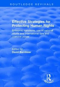 Book Cover for Effective Strategies for Protecting Human Rights by David Barnhizer