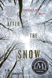 Book Cover for After the Snow by S. D. Crockett
