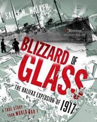 Book Cover for Blizzard of Glass by Sally M Walker