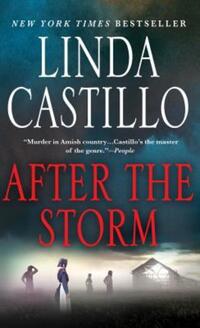 Book Cover for After the Storm by Linda Castillo