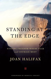 Book Cover for Standing at the Edge by Joan Halifax
