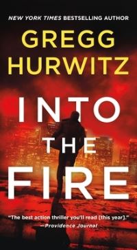 Book Cover for Into the Fire by Gregg Hurwitz