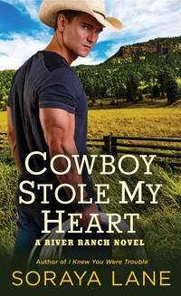 Book Cover for Cowboy Stole My Heart by Soraya Lane