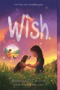 Book Cover for Wish by Barbara OConnor