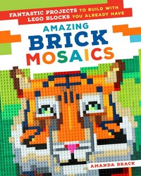 Book Cover for Amazing Brick Mosaics by Amanda Brack