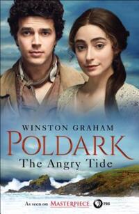 Book Cover for The Angry Tide by Winston Graham