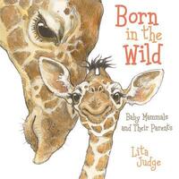 Book Cover for Born in the Wild by Lita Judge