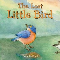 Book Cover for The Lost Little Bird by David McPhail