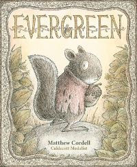 Book Cover for Evergreen by Matthew Cordell