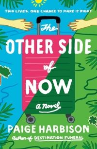 Book Cover for The Other Side of Now by Paige Harbison