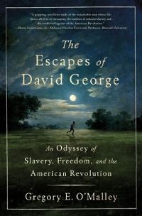 Book Cover for The Escapes of David George by Gregory E OMalley