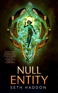 Book Cover for Null Entity by Seth Haddon