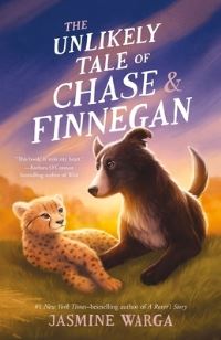 Book Cover for The Unlikely Tale of Chase and Finnegan by Jasmine Warga