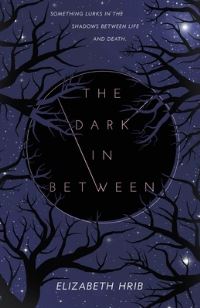 Book Cover for The Dark In-Between by Elizabeth Hrib
