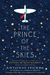 Book Cover for The Prince of the Skies by Antonio Iturbe