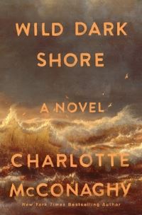 Book Cover for Wild Dark Shore by Charlotte McConaghy