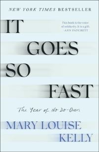 Book Cover for It Goes So Fast by Mary Louise Kelly