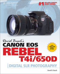 Book Cover for David Busch's Canon EOS Rebel T4i/650D by David D Busch