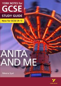 Book Cover for Anita and Me by Steve Eddy