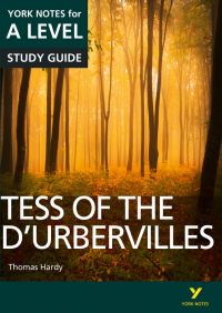 Book Cover for Tess of the d'Urbervilles by Karen Sayer, Beth Palmer