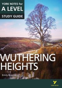 Book Cover for Wuthering Heights by Claire Steele