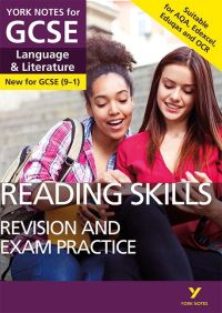 Book Cover for Reading and Comprehension Skills Booster for Language and Literature by 