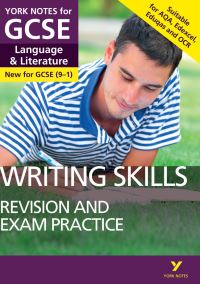 Book Cover for Writing and Essay Skills Booster for Language and Literature by 