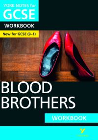Book Cover for Blood Brothers. Workbook by Emma Slater