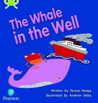 Book Cover for The Whale in the Well by Teresa Heapy