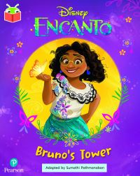 Book Cover for Bug Club Independent Year 2 Gold A by 
