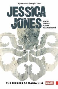 Book Cover for The Secrets of Maria Hill by Brian Michael Bendis, Matt Hollingsworth, Javier Pulido