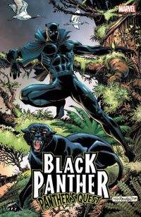 Book Cover for Panther's Quest by Don McGregor
