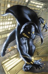 Book Cover for Black Panther Omnibus. Vol. 1 by Christopher J Priest