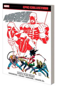 Book Cover for Into the Fire by Dan Chichester, Frank Miller