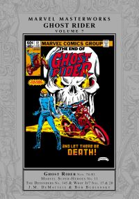 Book Cover for Ghost Rider. Vol. 7 by J M DeMatteis, Peter B Gillis, Steven Grant