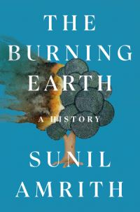 Book Cover for The Burning Earth by Sunil Amrith