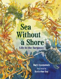 Book Cover for Sea Without a Shore by Barb Rosenstock