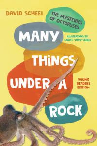 Book Cover for Many Things Under a Rock Young Readers Edition by David Scheel