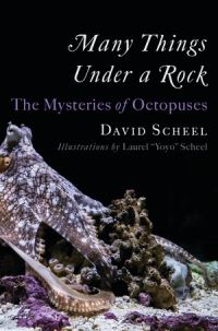 Book Cover for Many Things Under a Rock by David Scheel