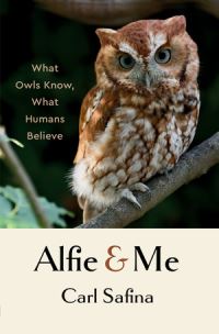 Book Cover for Alfie & Me by Carl Safina