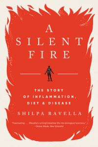 Book Cover for A Silent Fire by Shilpa Ravella