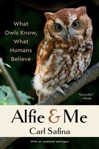 Book Cover for Alfie and Me by Carl Safina
